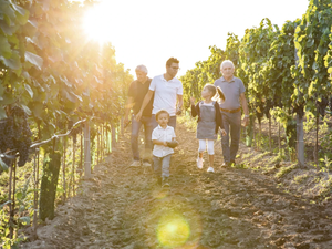 Weingut Salzl - Seewinkelhof 